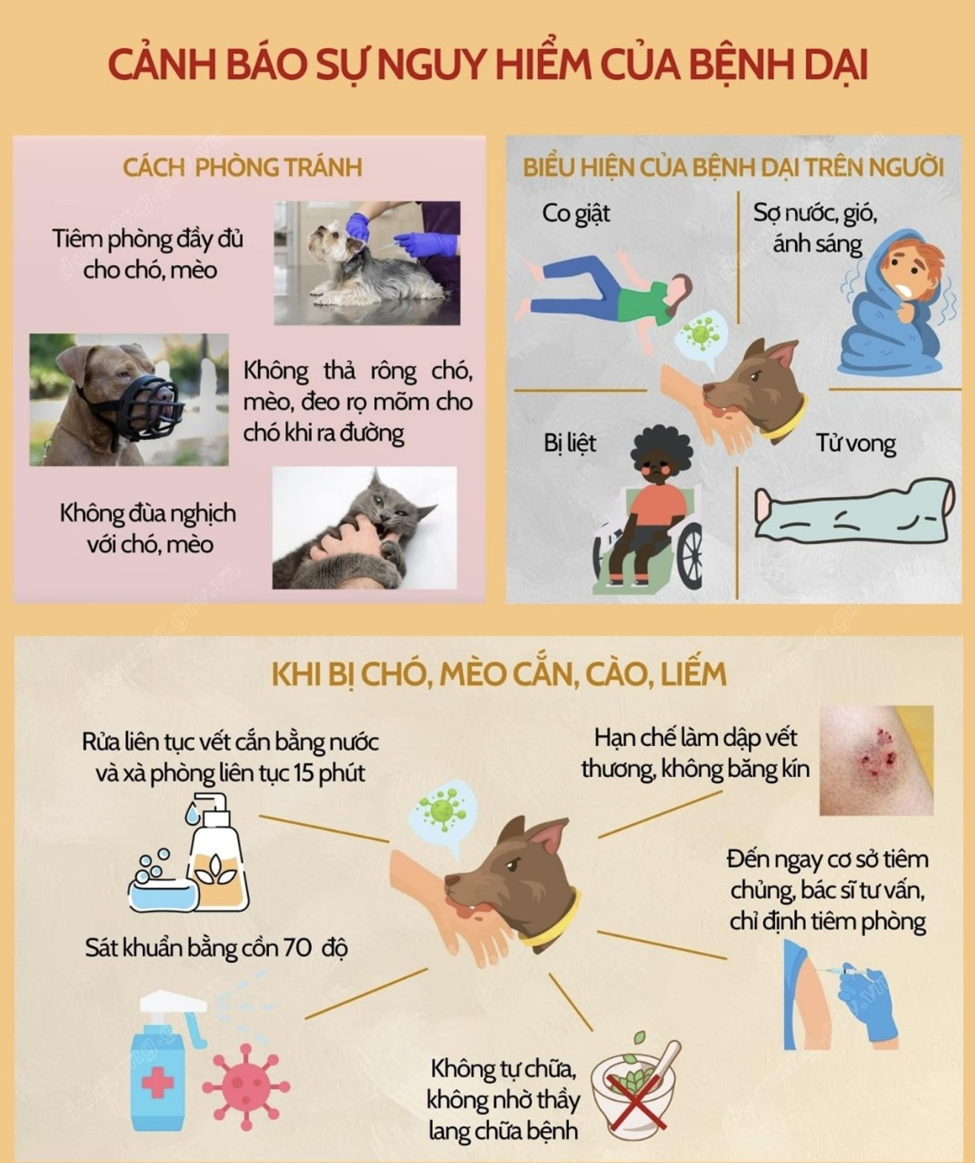 Đừng đánh cược mạng sống bằng thuốc nam khi bị chó cắn- Ảnh 5.