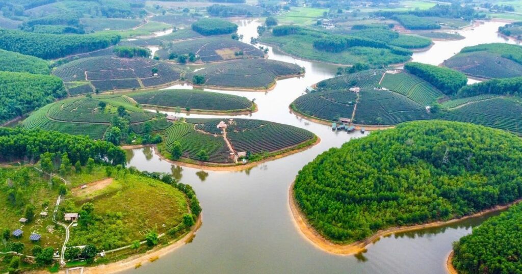 ‘Khai tử’ dự án du lịch hơn 1.500 tỷ của Cienco4 tại Đảo Chè