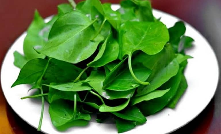 5 tác dụng của cây lá giang- Ảnh 1.