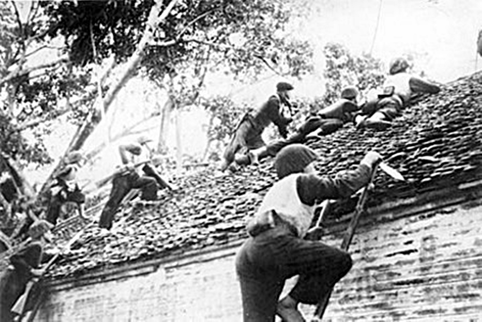 TPHCM tổ chức hội thảo cấp Bộ Quốc phòng bàn về tinh thần độc lập, tự chủ của dân tộc- Ảnh 1.