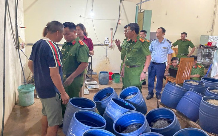 Phát hiện cơ sở sản xuất giá đỗ sử dụng chất cấm ở Hải Phòng