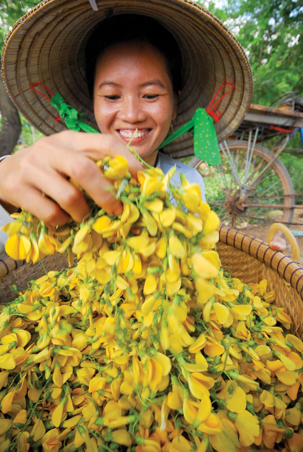 nhung-mon-ngon-thuoc-quy-tu-bong-dien-dien1497771388-1 4 món ngon từ bông điên điển - Ảnh 2.