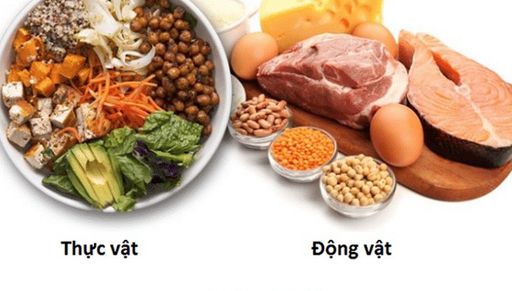 thieu-protein-con-nguoi-se-khong-hoat-dong-duoc1620033809 5 dấu hiệu cảnh báo thiếu protein nghiêm trọng - Ảnh 2.