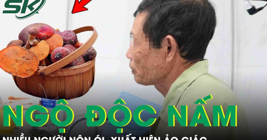 Nhiều người ngộ độc, ảo giác vì ăn món đặc sản quen thuộc