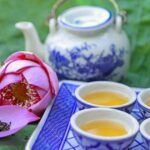 Trà tâm sen – hỗ trợ cải thiện giấc ngủ nhưng ai không nên dùng?