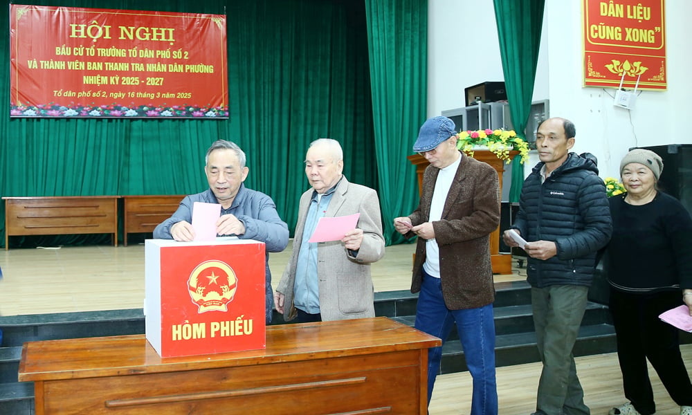 Người làm Trưởng thôn, Tổ trưởng tổ dân phố phải đáp ứng những tiêu chuẩn nào theo quy định mới nhất?- Ảnh 1.