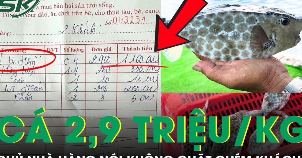Du khách phản ánh cá bò hòm 2,9 triệu/kg, chủ nhà hàng nói không chặt chém