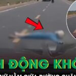 Người phụ nữ lao ra nằm giữa đường, chặn đầu ô tô gây xôn xao dư luận